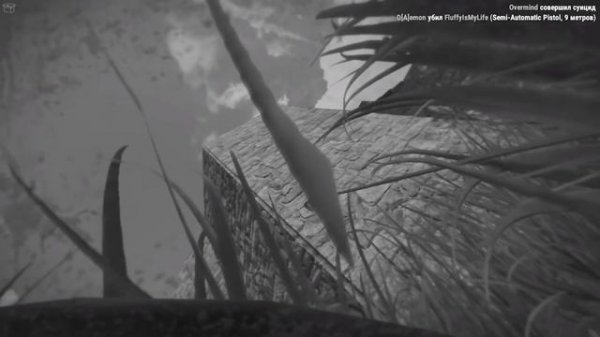 ТОТАЛЬНОЕ РАЗОБЛАЧЕНИЕ WEIL, JACKSON, FLUFFY, ULTIMATE RUST