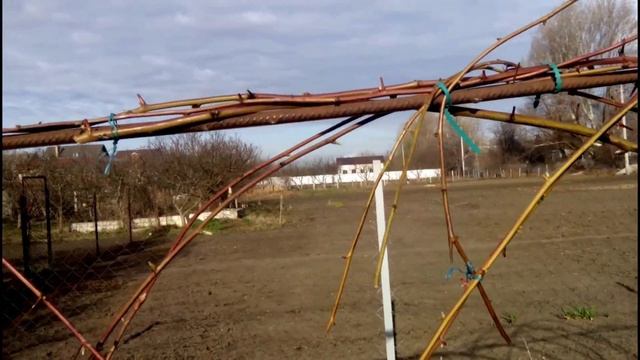 ПОДВЯЗКА ЕЖЕВИКИ НА ШПАЛЕРУ//Весенние работы в саду смотреть онлайн