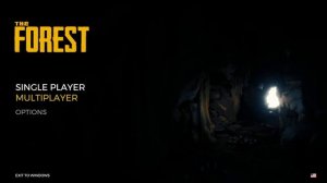 How To Fix The Forest 'The game crashed'