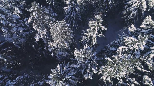Полёт над зимним лесом | Winter Forest Aerial смотреть онлайн