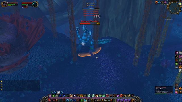 Natural Armor, WoW TBC Quest