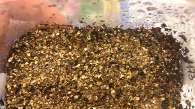 Кобея 28.02.17 Первый росточек кобей смотреть онлайн