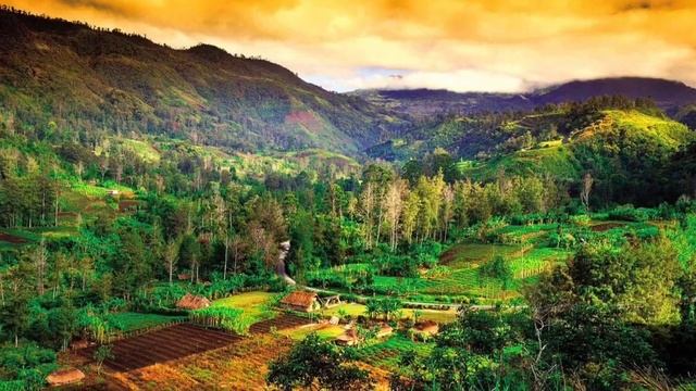 Папуа-Новая Гвинея.  Papua -New Guinea .