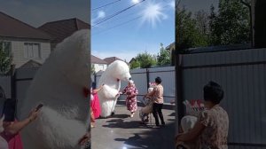 Поздравление от белого мишки в Оренбурге. 06.05.23