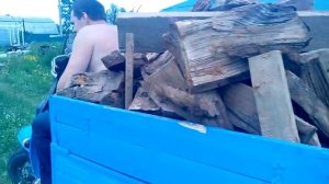 Мотороллер муравей возит дрова