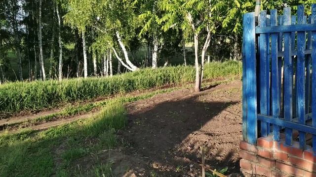 #Обзор#дачи#кротов пугаем 20 мая 2020 смотреть онлайн