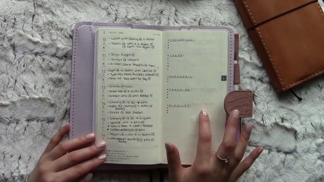 Planner System: Hobo Weeks | LittleRachPlans смотреть онлайн