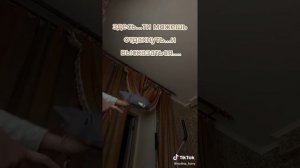 Драконы из тт ( видео не мои)