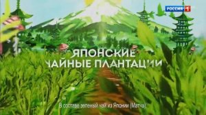 Реклама Липтон Лайм Юдзу — По-Японски (2019)