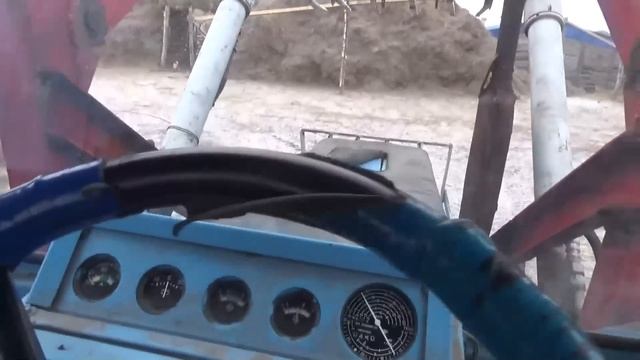Какие гены достались Марсику? Буран и ветер не прекращается. смотреть онлайн