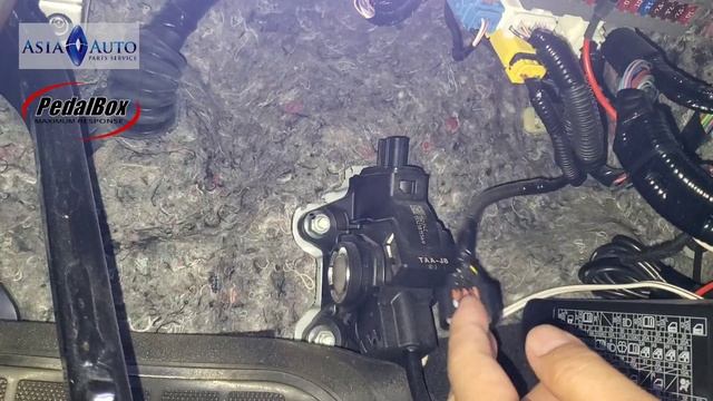 HONDA STEPWGN RP 起跑速度更快，因為有了DTE Pedalbox 優化 香港代理 亞洲汽車材料有限公司 смотреть онлайн