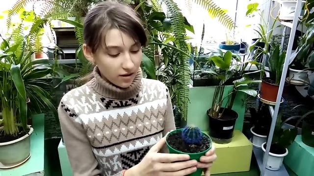 Зелёные помощники смотреть онлайн
