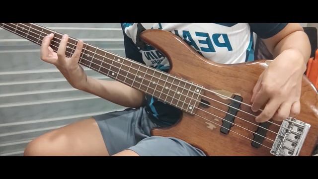 My Yamaha BBN5 bass Sound test смотреть онлайн