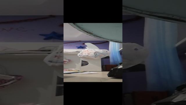 VID_20240207_212037.mp4 смотреть онлайн