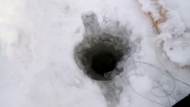 Не плохо порыбачил. Алтайский край река Чумыш. смотреть онлайн