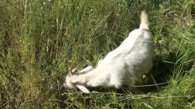 В Кудряшовке с смотреть онлайн
