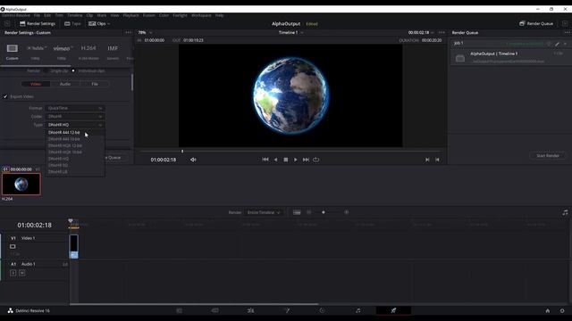 Transparent Background Video Export in DaVinci Resolve смотреть онлайн