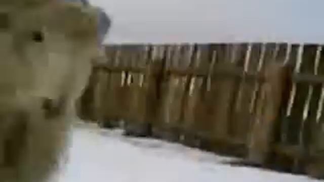Баран Борис смотреть онлайн