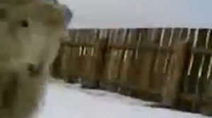 Баран Борис