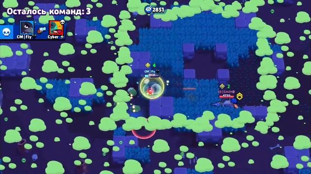 Нулс бравл. Апаю Мортиса