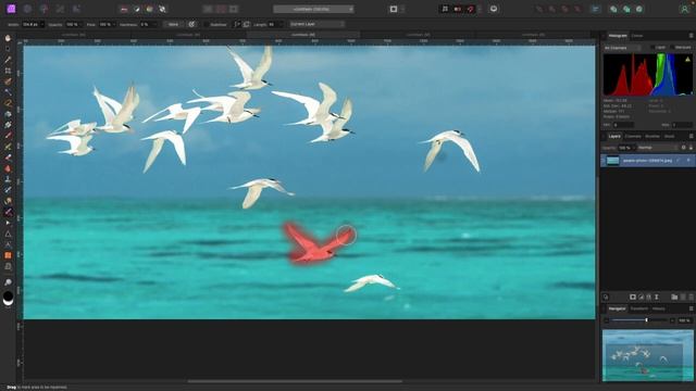 Effortlessly Remove Objects with Magic: The Inpainting Brush in Affinity Photo смотреть онлайн