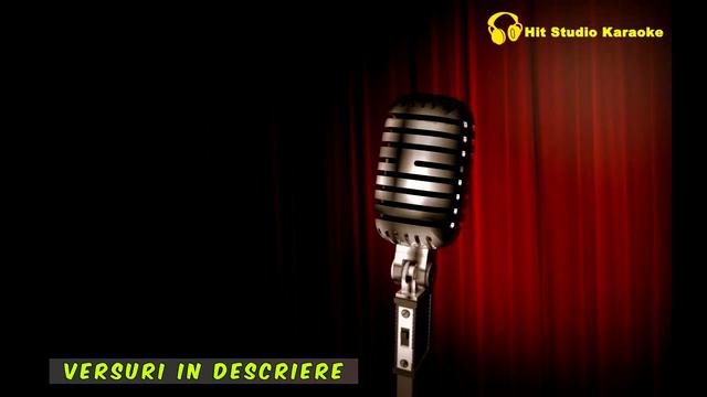 Florin Salam - Obrazul meu Karaoke смотреть онлайн