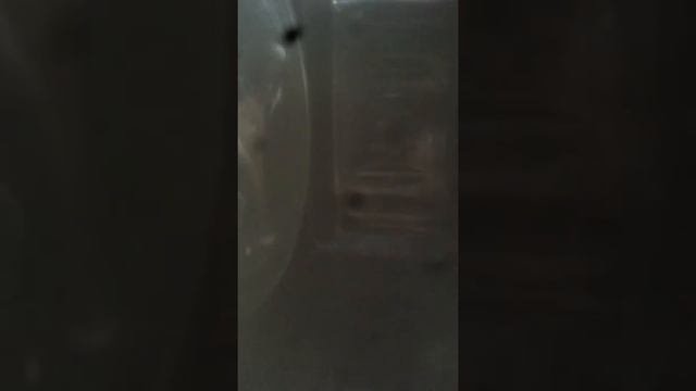 Бред про микроволновку смотреть онлайн