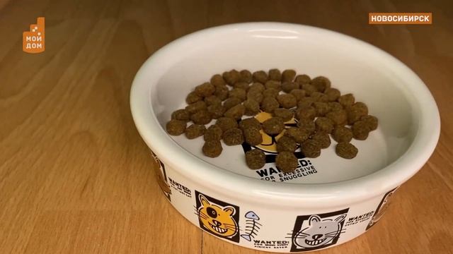 Лайфхаки против шерсти смотреть онлайн