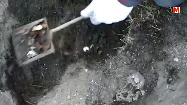 КЛАД ЗОЛОТЫХ И СЕРЕБРЯНЫХ МОНЕТ