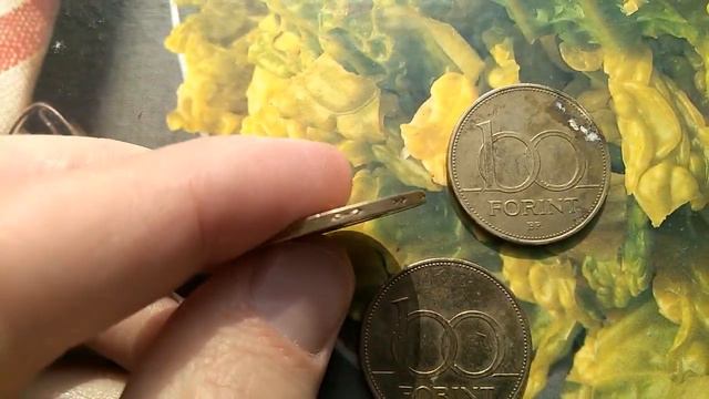 100 Forint Hungary смотреть онлайн