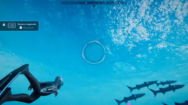 Beyond Blue // Танцы с кашалотами #1 смотреть онлайн