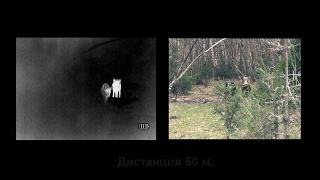 Охота на кабана с тепловизором (FORTUNA.ARMY) смотреть онлайн