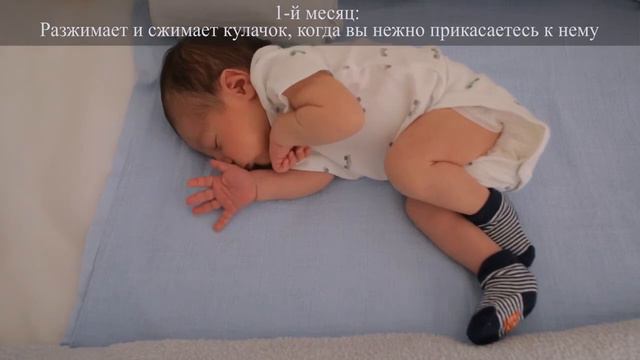 Разжимает и сжимает кулачок, когда вы нежно прикасаетесь к нему смотреть онлайн