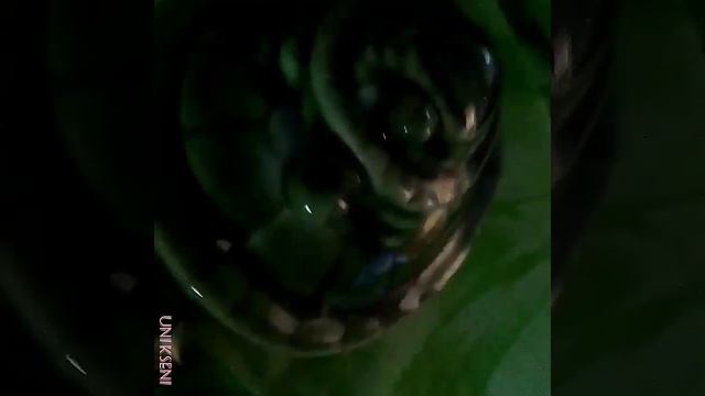 Покупки#3 смотреть онлайн