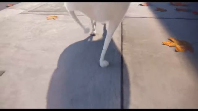 бесплатно 5 смотреть онлайн