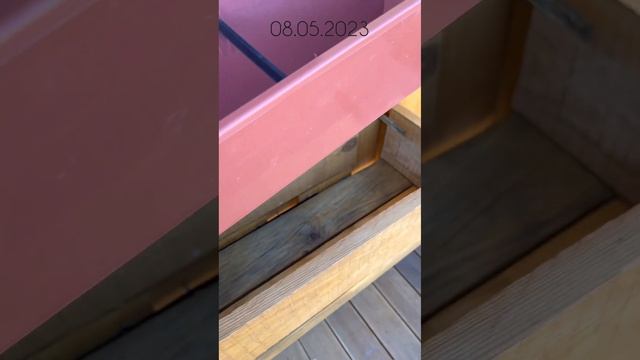 Посадка настурции в балконный ящик на даче. Ждём красоту ? #начинающие дачники #дача смотреть онлайн