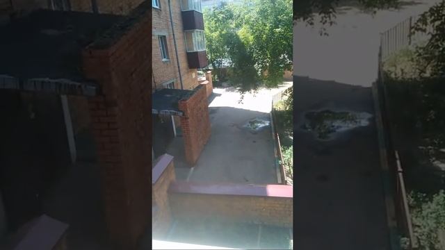 Кто Его Знает? смотреть онлайн