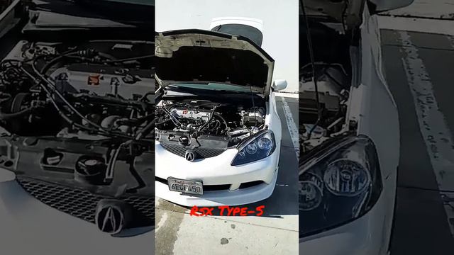 RSX White Lotus смотреть онлайн