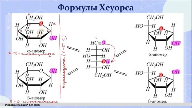 17. Углеводы. Формулы Хеуорса