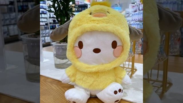 Look What I Found!!!! MINISO X SANRIO