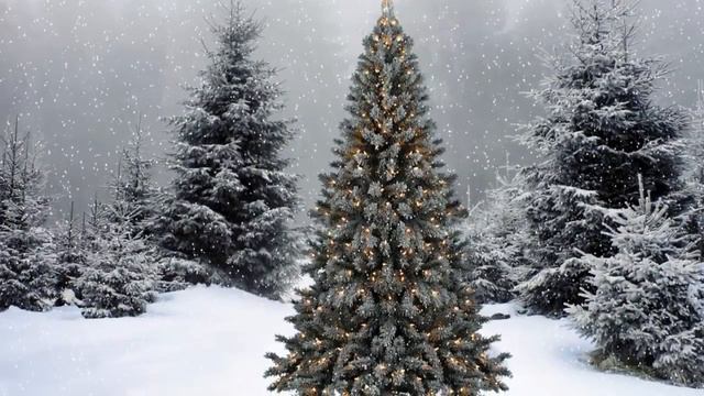 В ЛЕСУ родилась Елочка детская НОВОГОДНЯЯ ПЕСНЯ смотреть онлайн