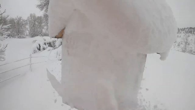 Snowpocalypse2021 смотреть онлайн