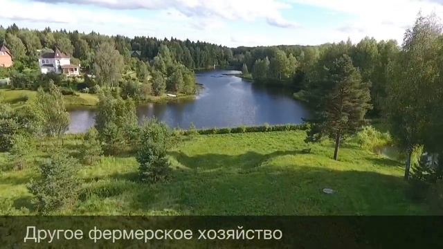 Фермеры Калужской области смотреть онлайн