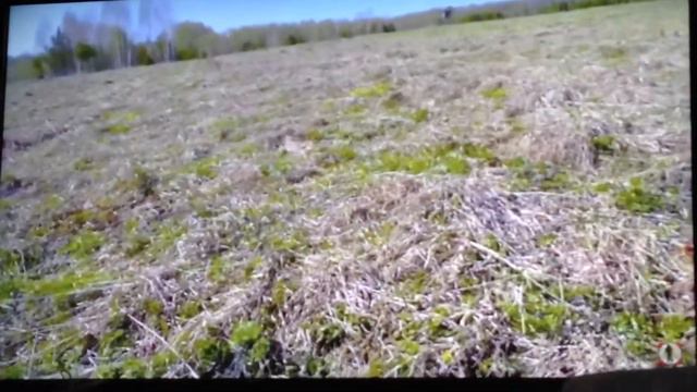 Что делать если забыл ложку смотреть онлайн