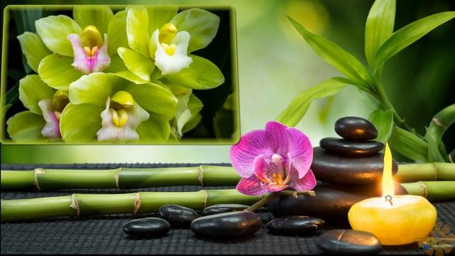 Красивое поздравление)))) Какое счастье просто жить! смотреть онлайн