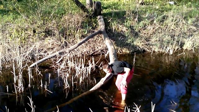 Смешно упал в реку смотреть онлайн