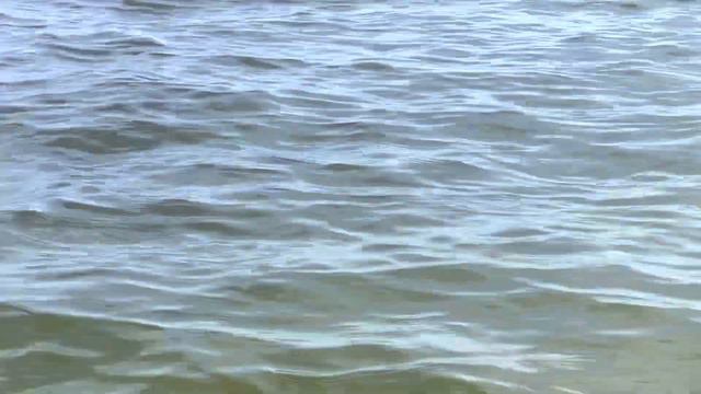 Галвестон Техас Мексиканский Залив Знакомимся с местностью смотреть онлайн