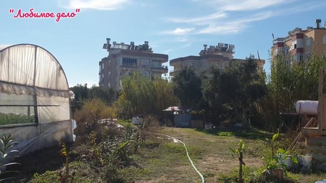 #22 Турция! Первые впечатления о бунгало! Тараканы? Без воды! Море!? смотреть онлайн