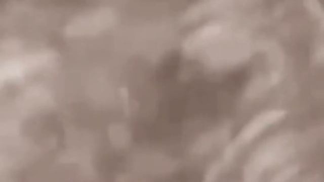 5 НЕИЗВЕСТНЫХ СУЩЕСТВ, СНЯТЫХ НА КАМЕРУ 12 смотреть онлайн