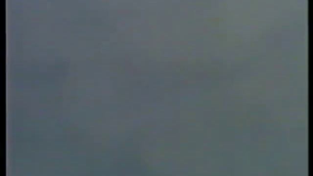 Серпасто-выворотные голуби Николая Борисовича Жуленева г. Краснослободск смотреть онлайн